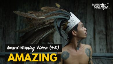 Award-winning video "AMAZING" (4K)