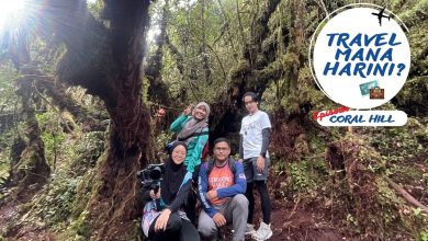 Mysterious coral forest above the clouds ?   Coral Hill, Cameron Highlands