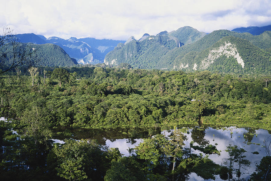 rainforest-sarawak-borneo