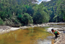 Indigenous Tourism And Conservation Efforts